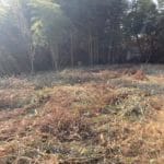 幸脇番屋ノ後土地 幸脇番屋ノ後土地